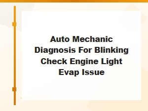 Auto Mechanic Diagnosis for Blinking Check Engine Light Evap Issues
