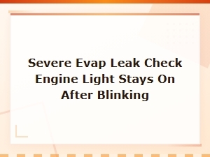 Severe Evap Leak Check Engine Light Stays on After Blinking